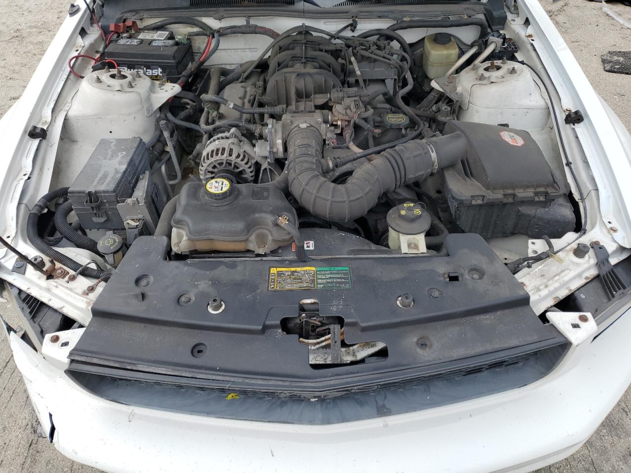 2006 Ford Mustang VIN: 1ZVFT80N065175272 Lot: 65917544