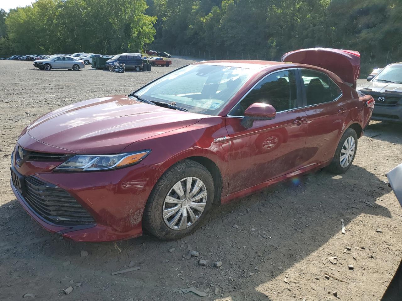 4T1C31AK0LU538006 2020 TOYOTA CAMRY - Image 1