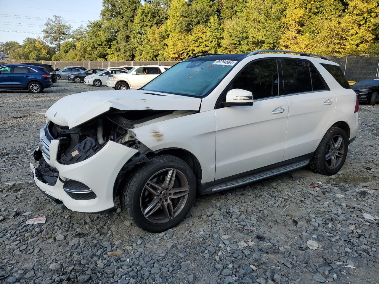 4JGDA5HB0HA969994 2017 MERCEDES-BENZ GLE - Image 1