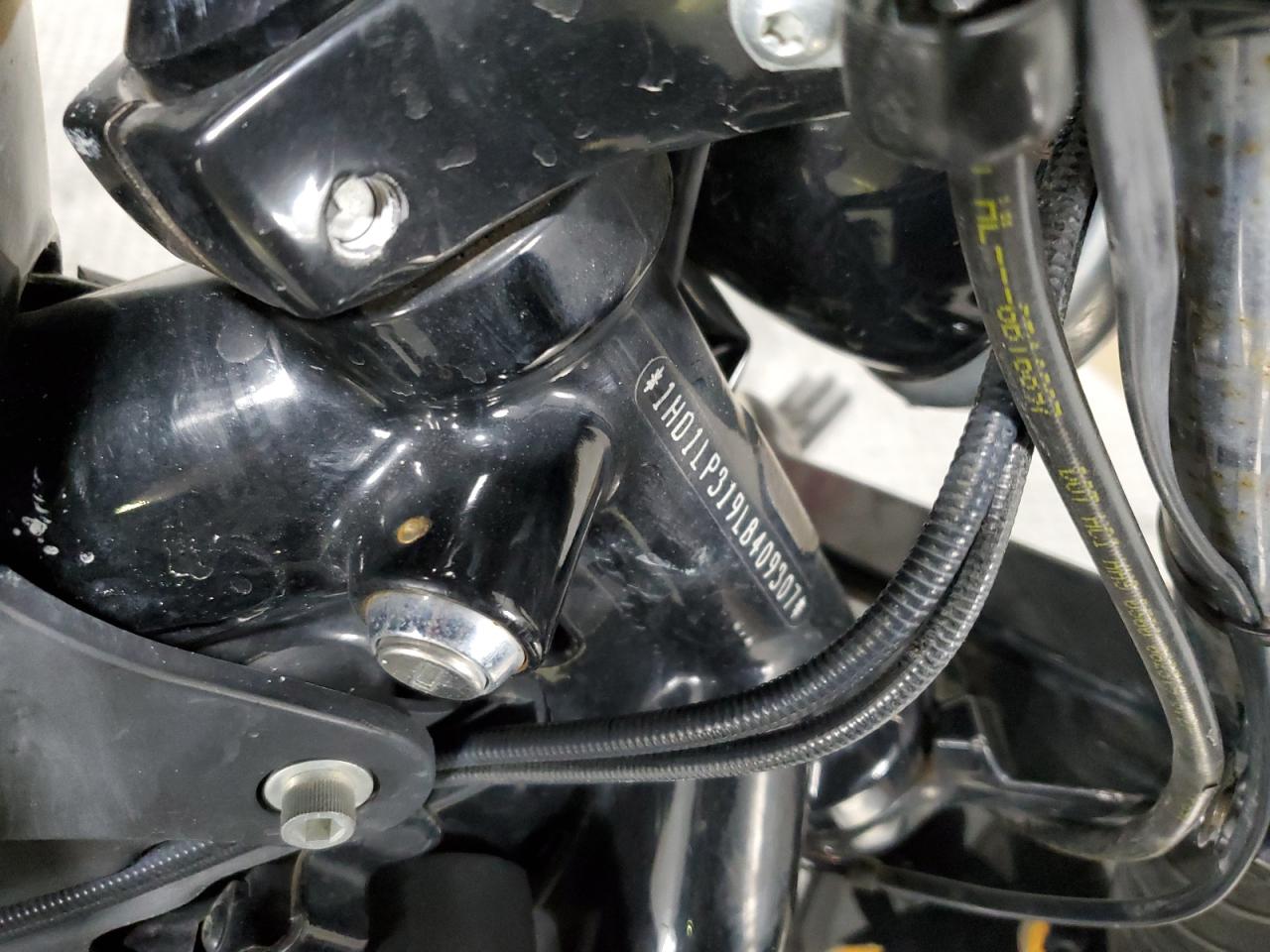 2020 Harley-Davidson Xl1200 Ns VIN: 1HD1LP319LB409307 Lot: 67092634