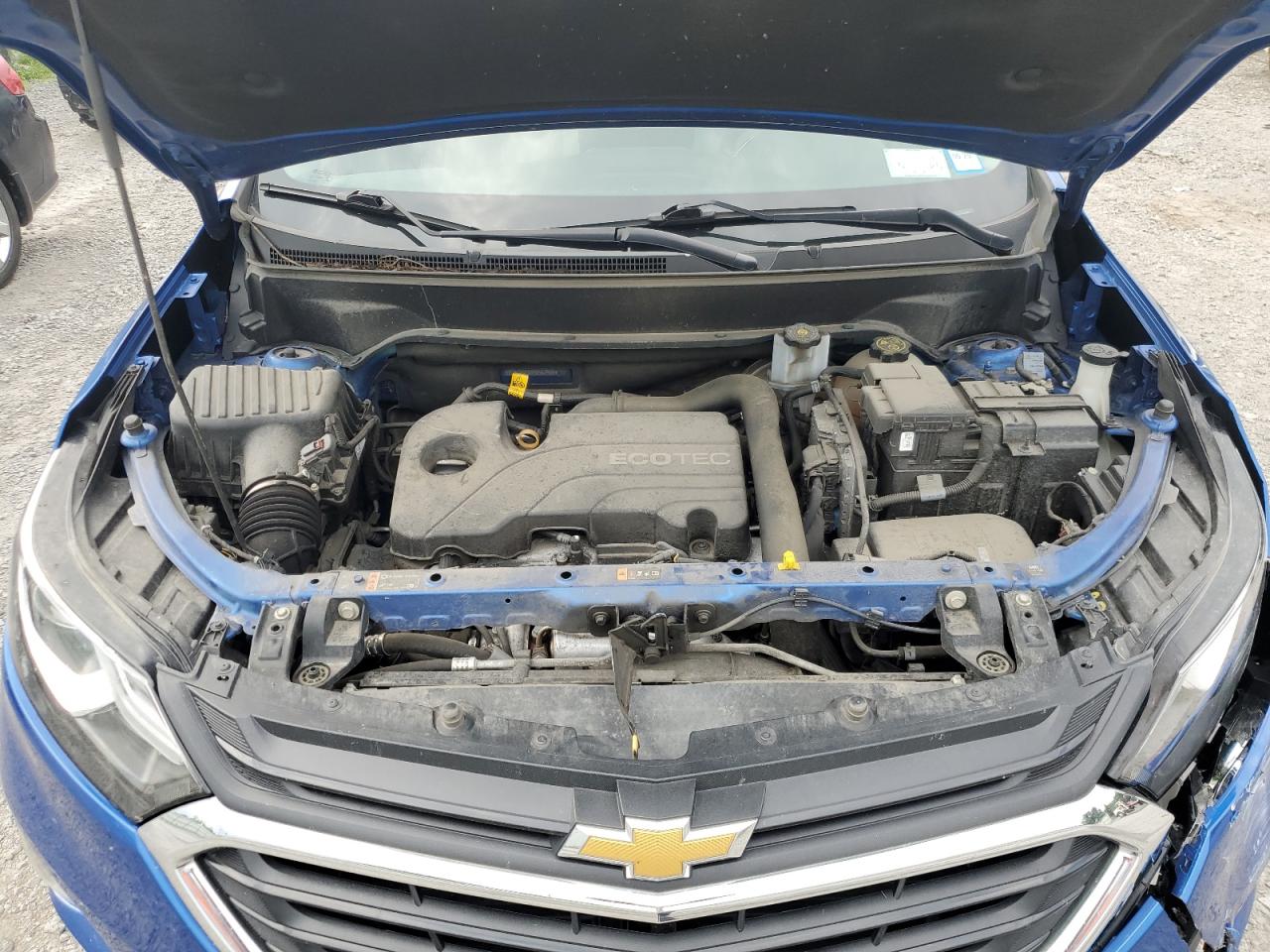 2019 Chevrolet Equinox Ls VIN: 3GNAXSEVXKS567965 Lot: 65899194