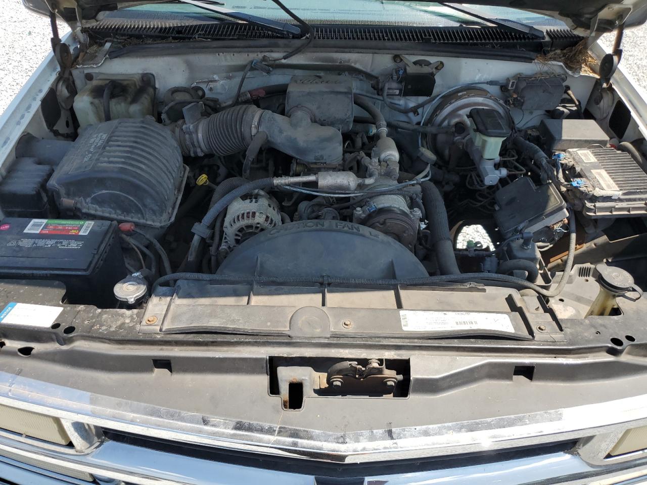 1998 Chevrolet Gmt-400 K1500 VIN: 1GCEK19M6WR142465 Lot: 66123724