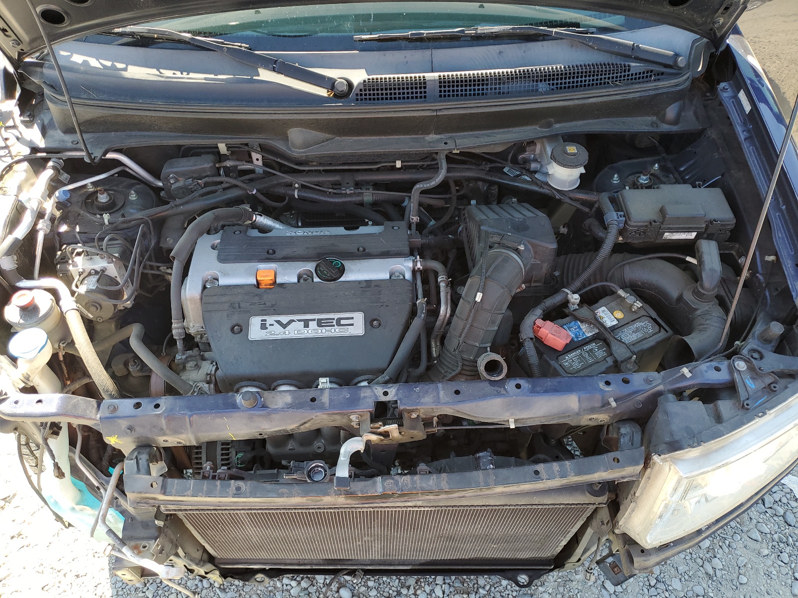 5J6YH1H77AL000896 2010 Honda Element Ex