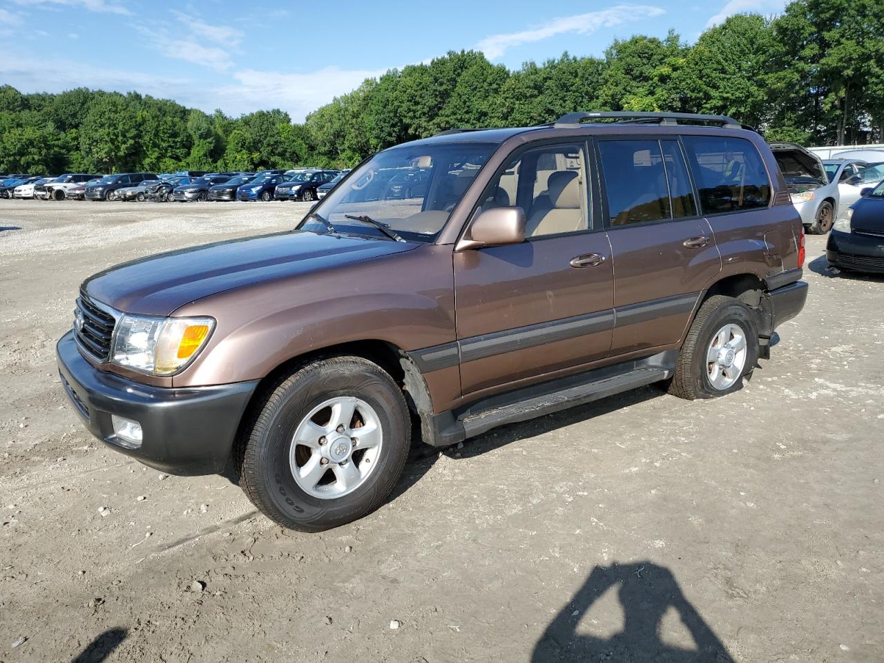 1999 Toyota Land Cruiser VIN: JT3HT05J3X0040065 Lot: 66630954