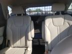 2023 Kia Sorento Ex للبيع في New Britain، CT - Water/Flood