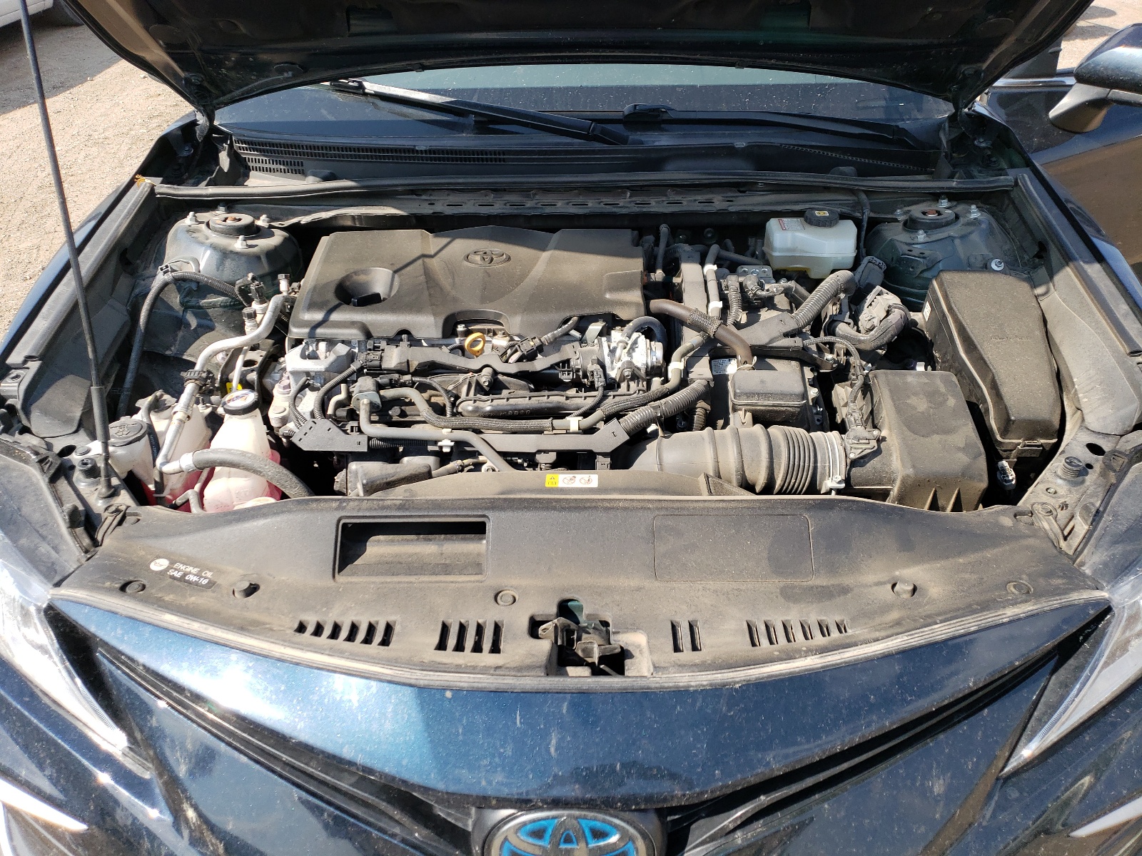 4T1C31AK2MU030993 2021 Toyota Camry Le