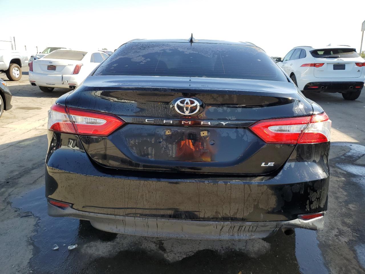 4T1B11HK3KU230804 2019 Toyota Camry L