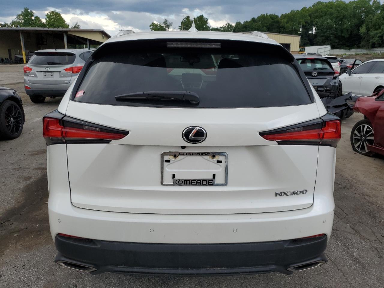 2020 Lexus Nx 300 VIN: JTJDARDZ3L5003989 Lot: 66998124