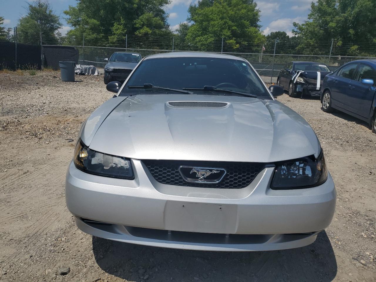 2001 Ford Mustang VIN: 1FAFP40491F262166 Lot: 65819254