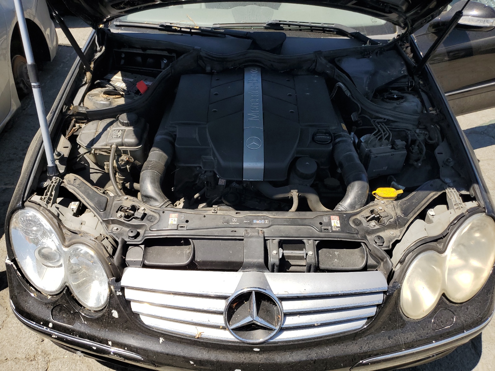 WDBTJ65J44F094237 2004 Mercedes-Benz Clk 320C