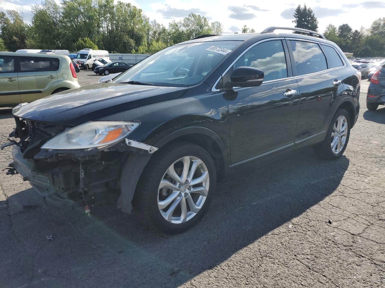 2012 Mazda Cx-9 VIN: JM3TB3DV9C0333372 Lot: 68573344