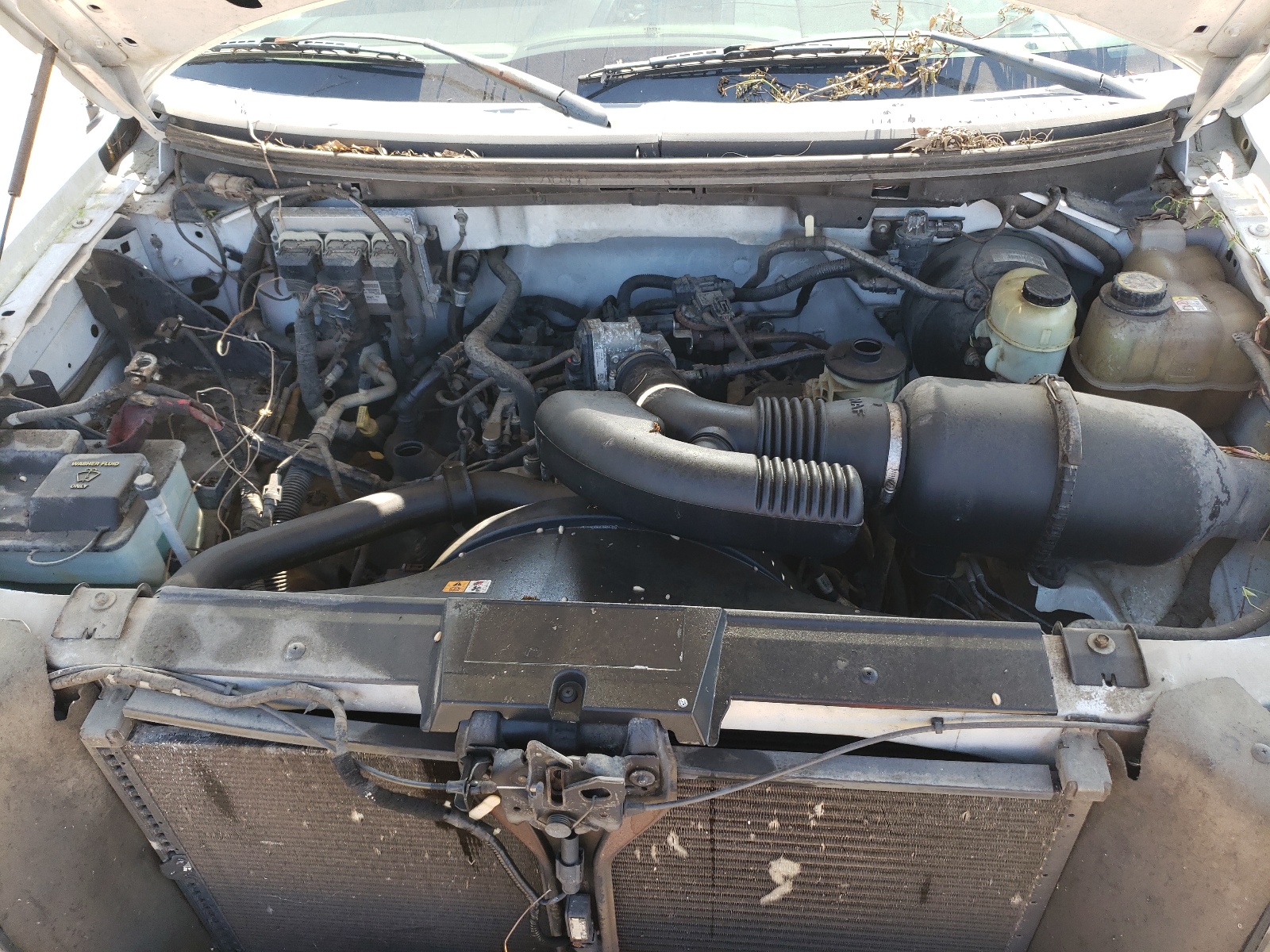 1FTRF12W67NA36222 2007 Ford F150