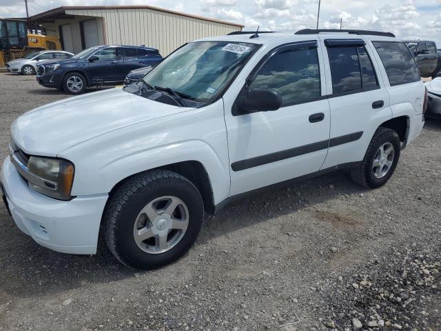 2005 Chevrolet Trailblazer Ls продається в Temple, TX - Hail