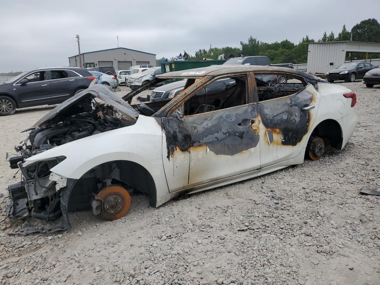 2016 Nissan Maxima 3.5S de vânzare în Memphis, TN - Burn