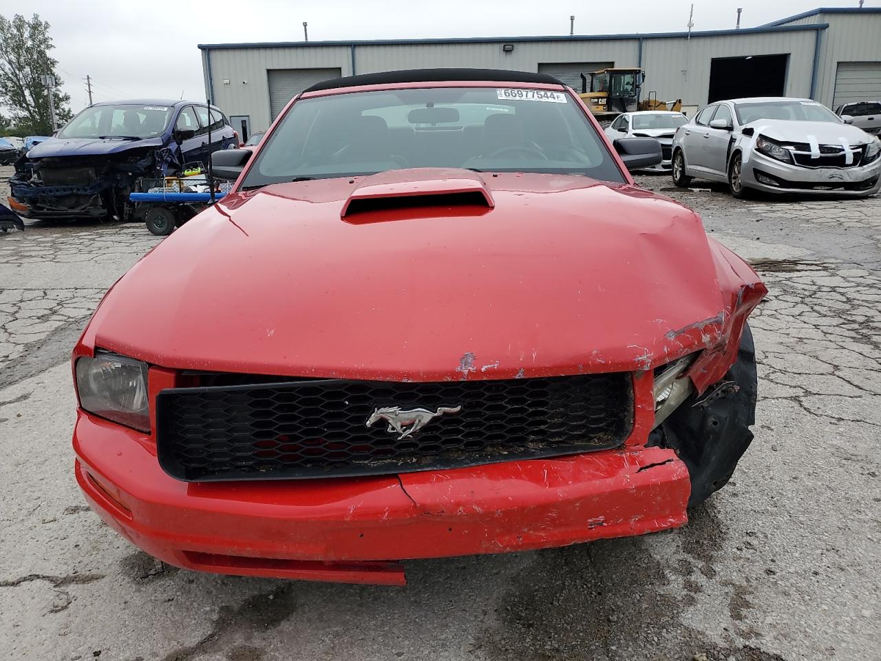 2005 Ford Mustang VIN: 1ZVHT84N655255242 Lot: 66977544