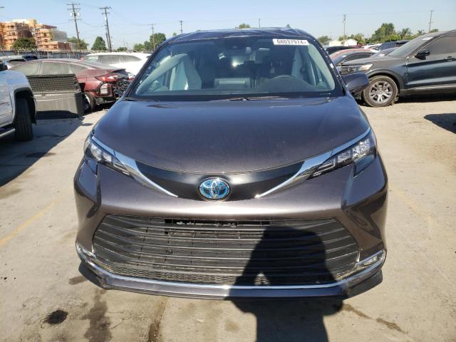  TOYOTA All Models 2024 Gray