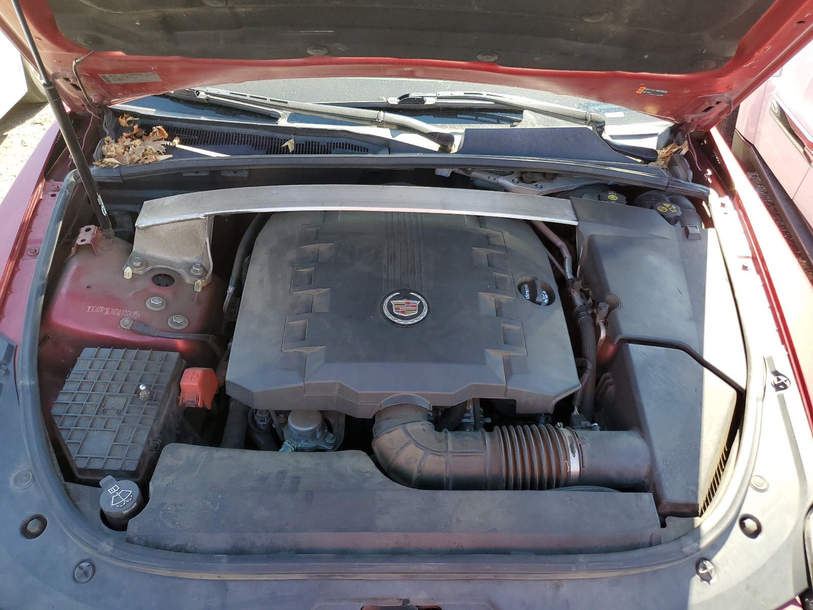 1G6DP1E36D0130895 2013 Cadillac Cts Premium Collection