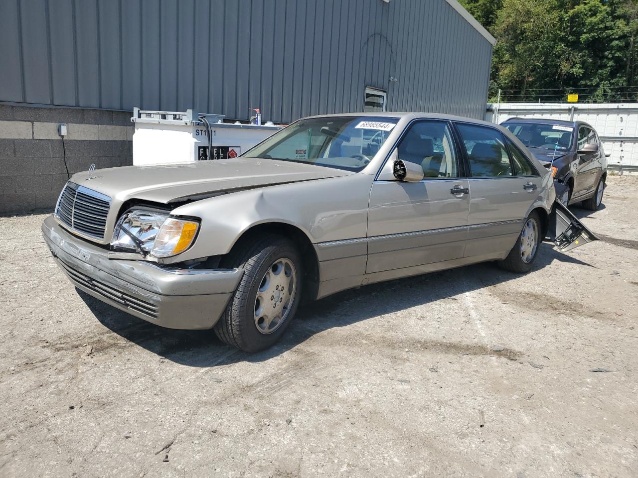 WDBGA33EXTA319438 1996 Mercedes-Benz S 320