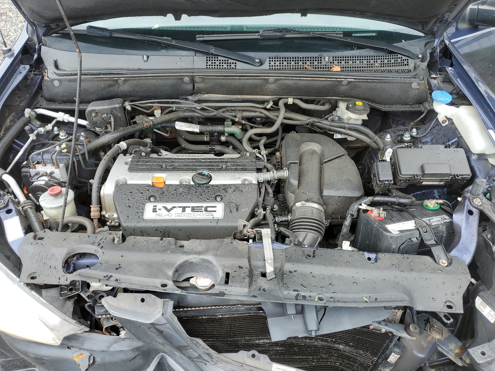 SHSRD785X6U445420 2006 Honda Cr-V Lx