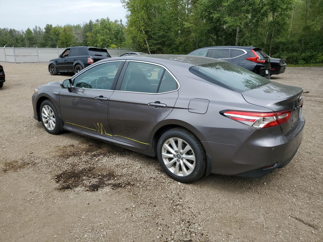 4T1B31HK9KU509670 2019 TOYOTA CAMRY - Image 2