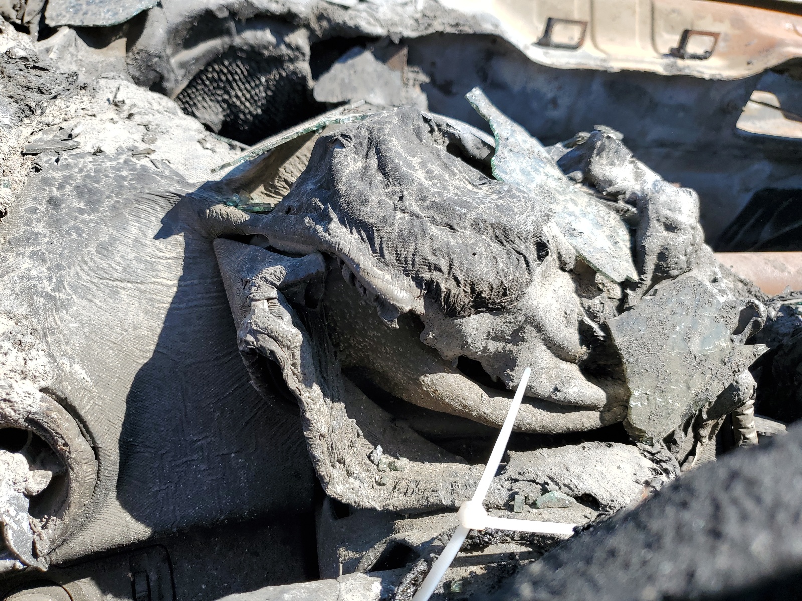 1G1JF5SB1L4114108 2020 Chevrolet Sonic Premier