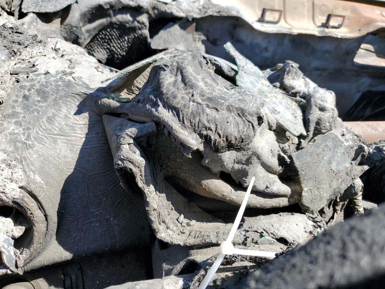 2020 Chevrolet Sonic Premier VIN: 1G1JF5SB1L4114108 Lot: 57725004