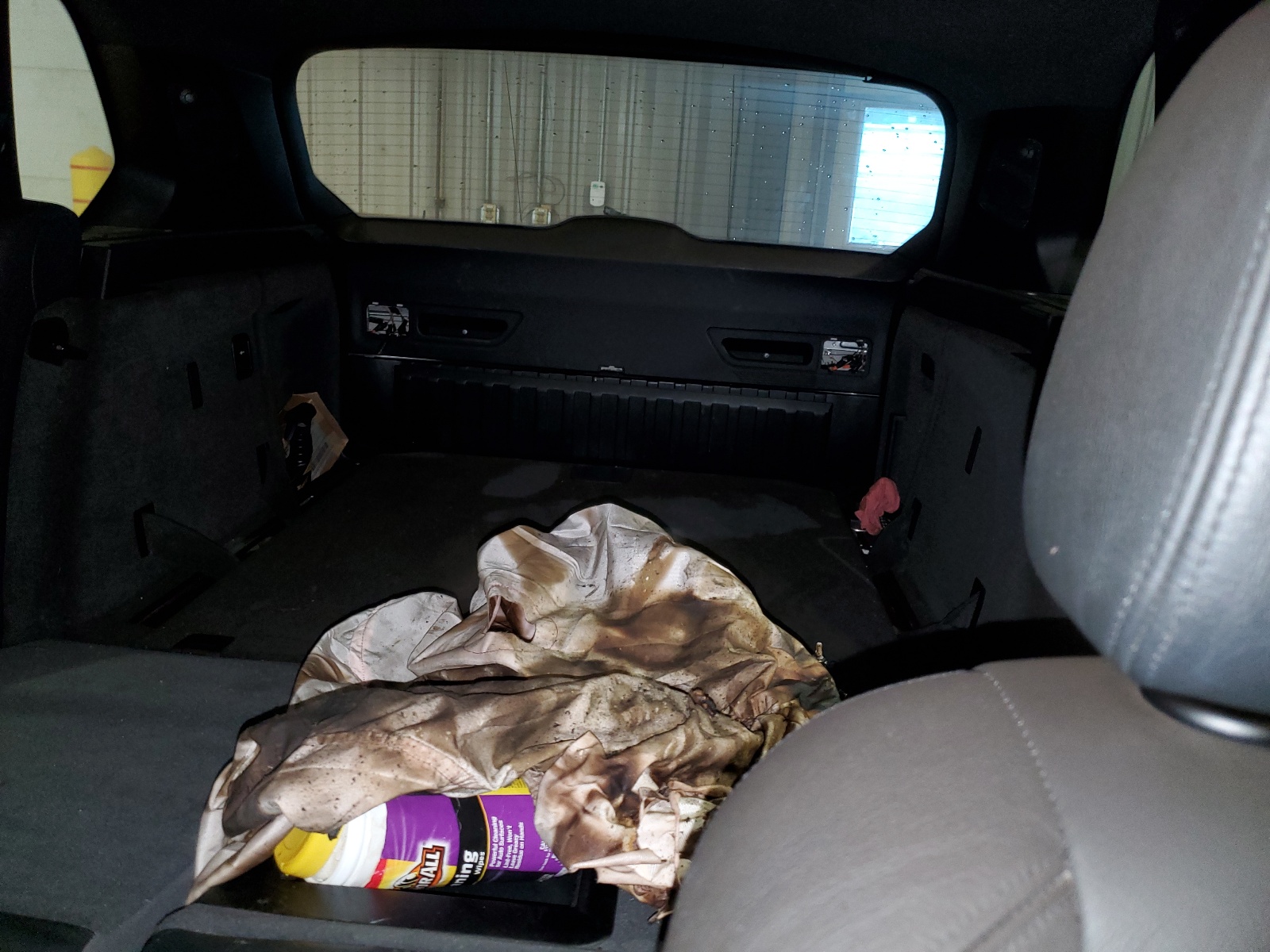 5UXFE83517LZ39585 2007 BMW X5 4.8I