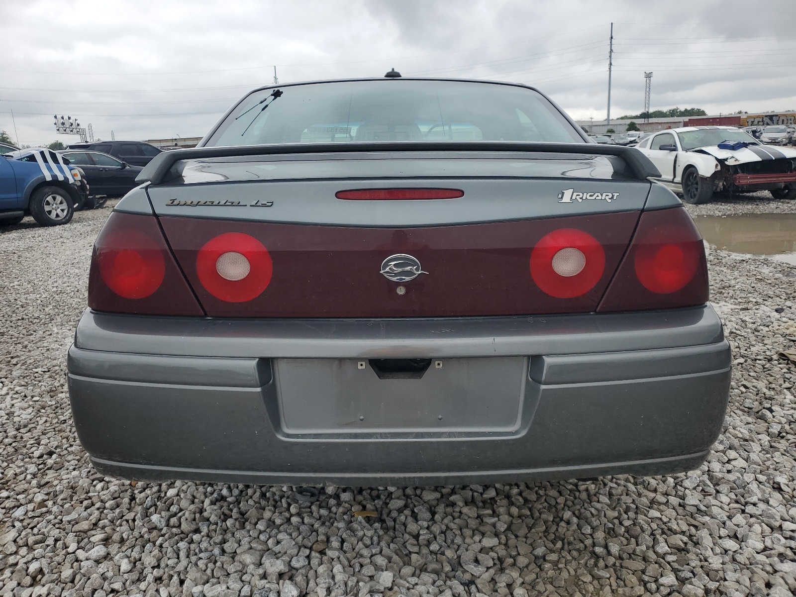 2G1WH55K849132499 2004 Chevrolet Impala Ls