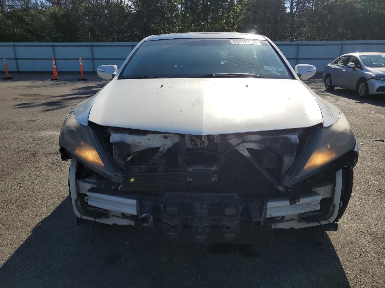 2010 Acura Zdx Advance VIN: 2HNYB1H61AH500719 Lot: 65076704