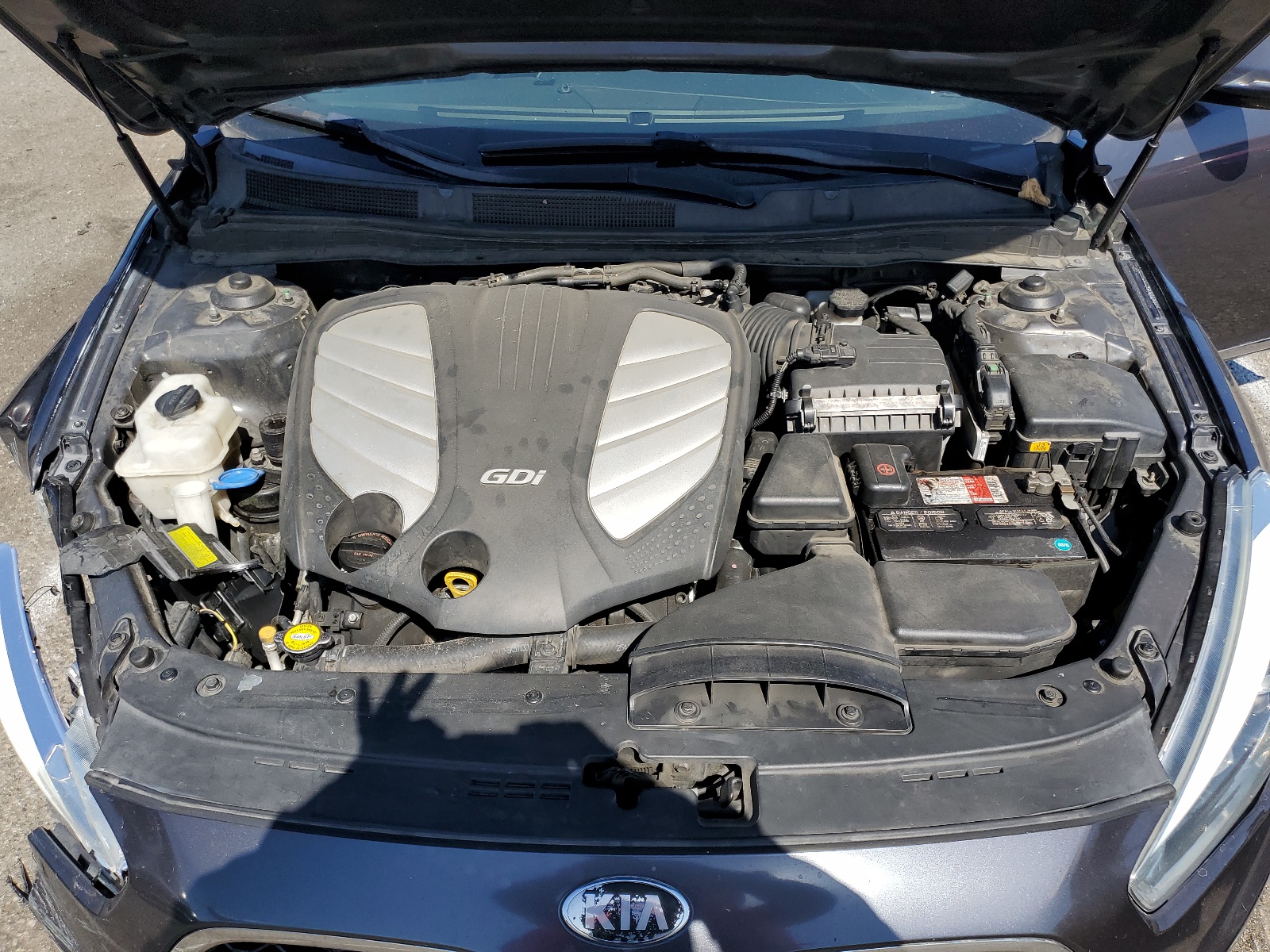 KNALN4D72E5148834 2014 Kia Cadenza Premium