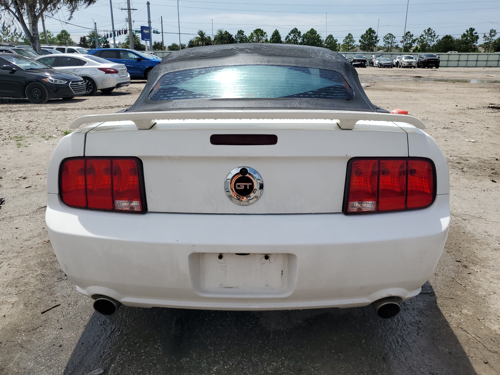 1ZVFT85H365197530 2006 Ford Mustang Gt