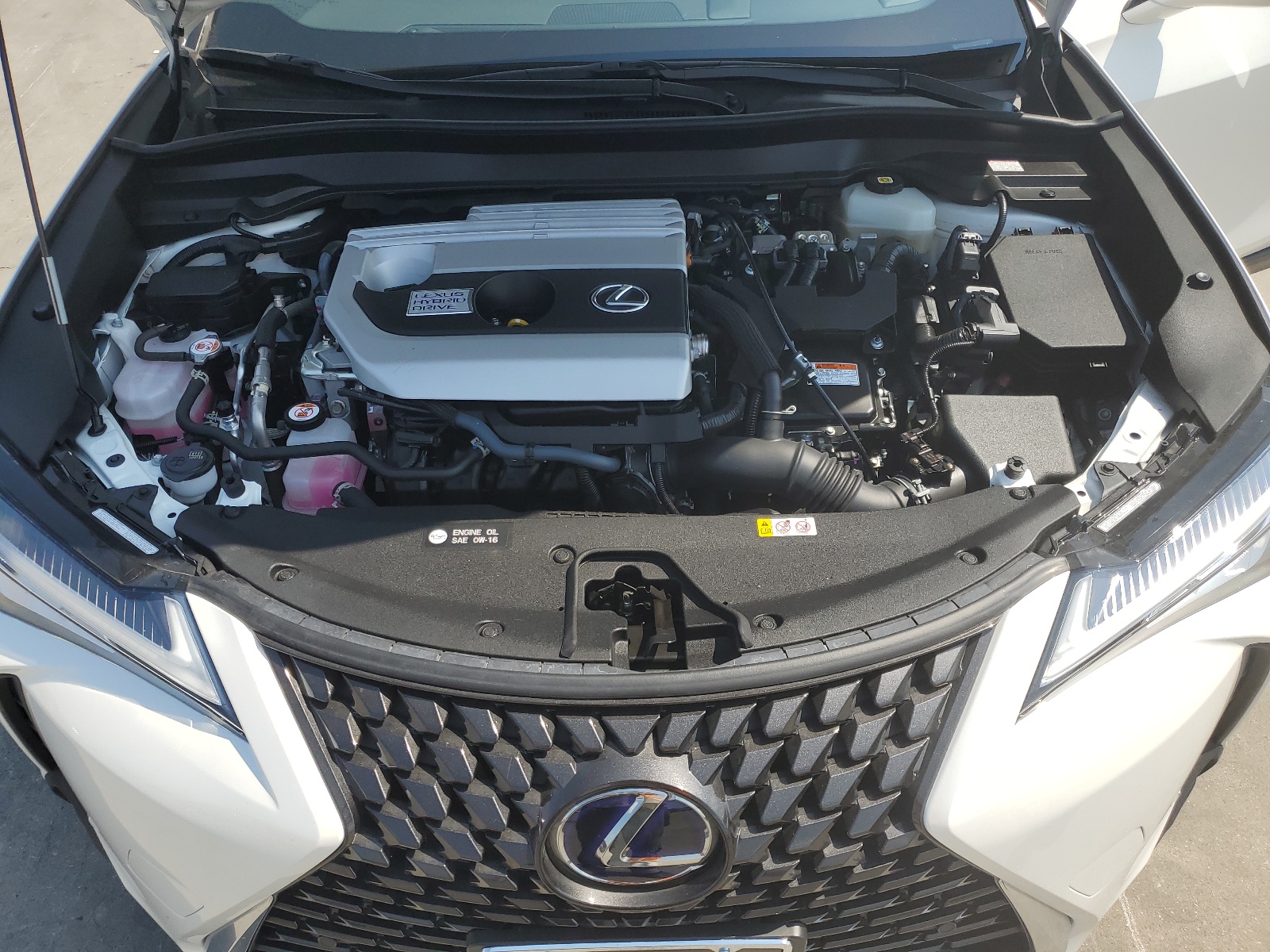 JTHP9JBH5M2051838 2021 Lexus Ux 250H