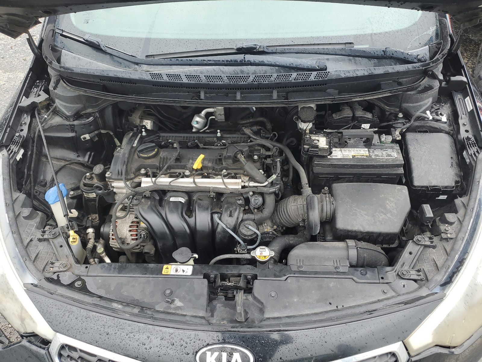 2014 Kia Forte Lx vin: KNAFK4A68E5252777