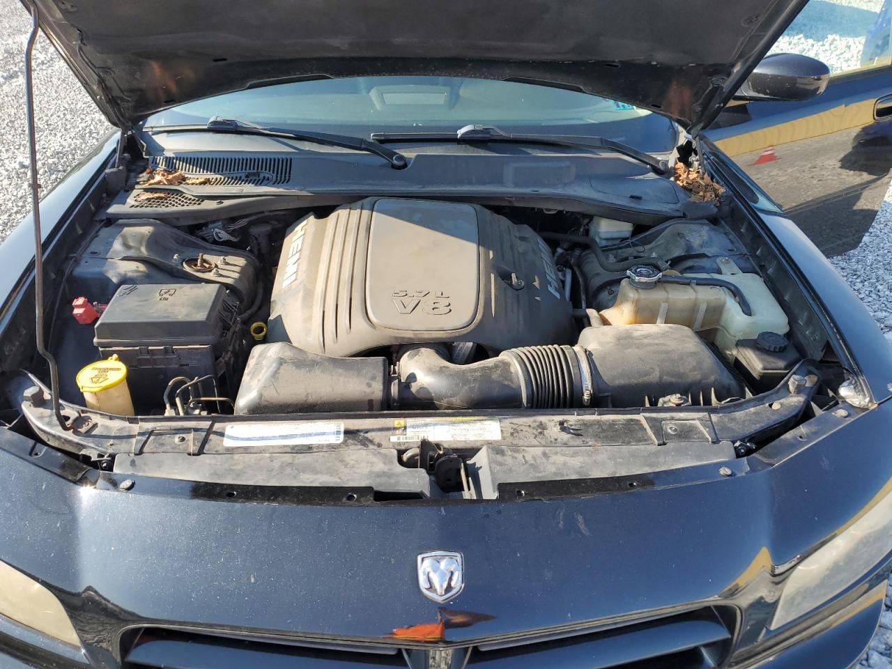 2009 Dodge Charger R/T VIN: 2B3KK53T39H568386 Lot: 67016964