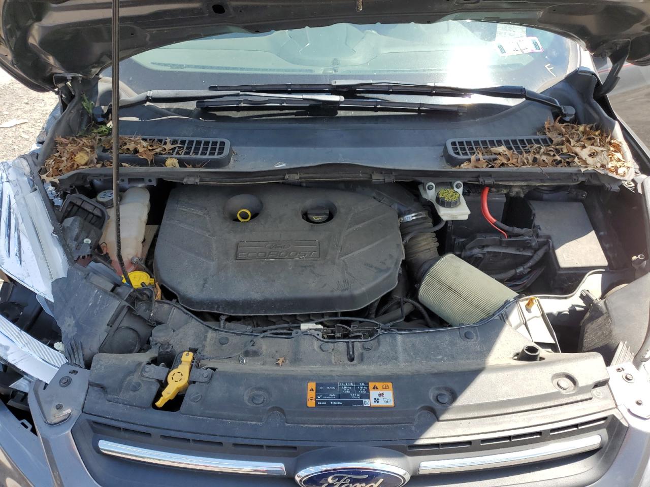 2013 Ford Escape Se VIN: 1FMCU9G99DUB89705 Lot: 66945164