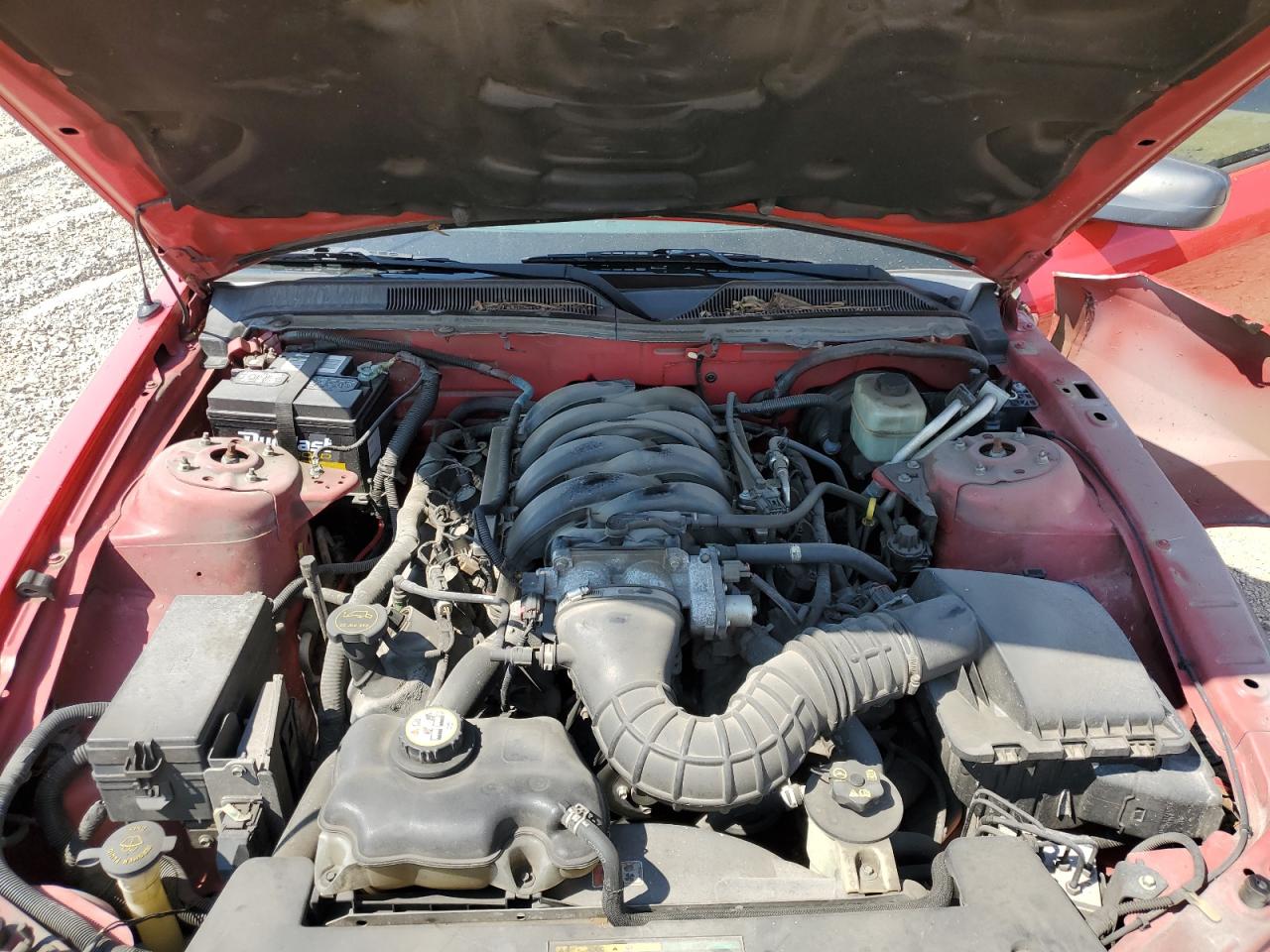 2006 Ford Mustang Gt VIN: 1ZVFT82H565111770 Lot: 66010394