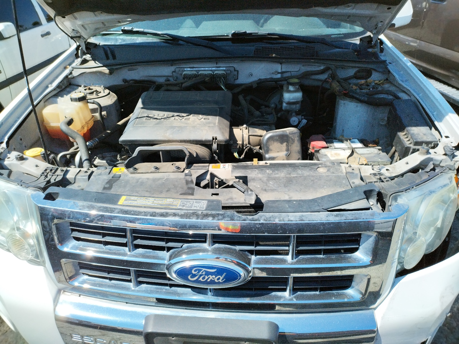 1FMCU0EG8BKB59889 2011 Ford Escape Limited