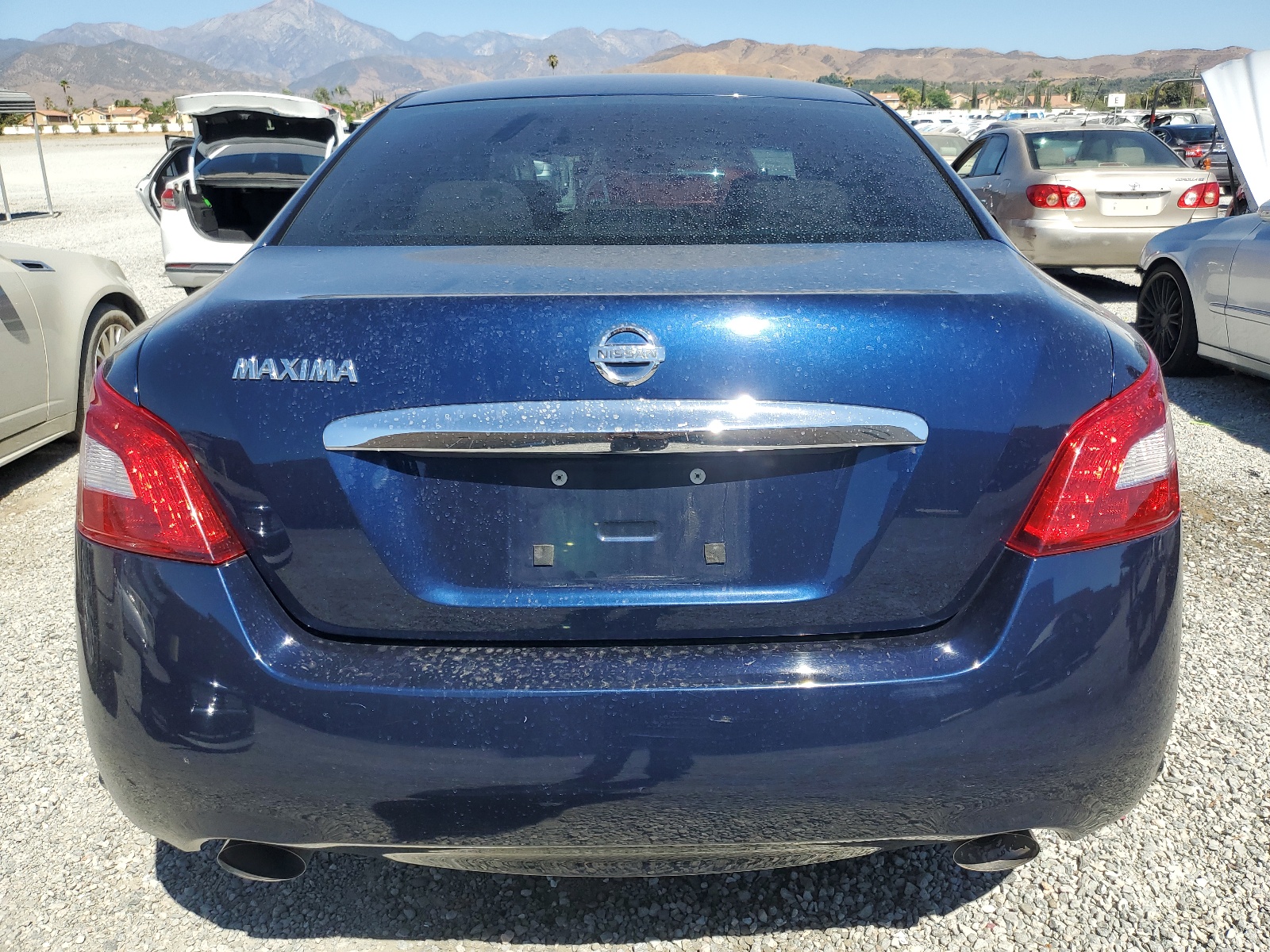 1N4AA51EX9C824971 2009 Nissan Maxima S