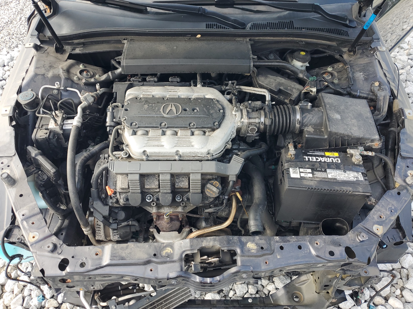 19UUA8F24DA006259 2013 Acura Tl