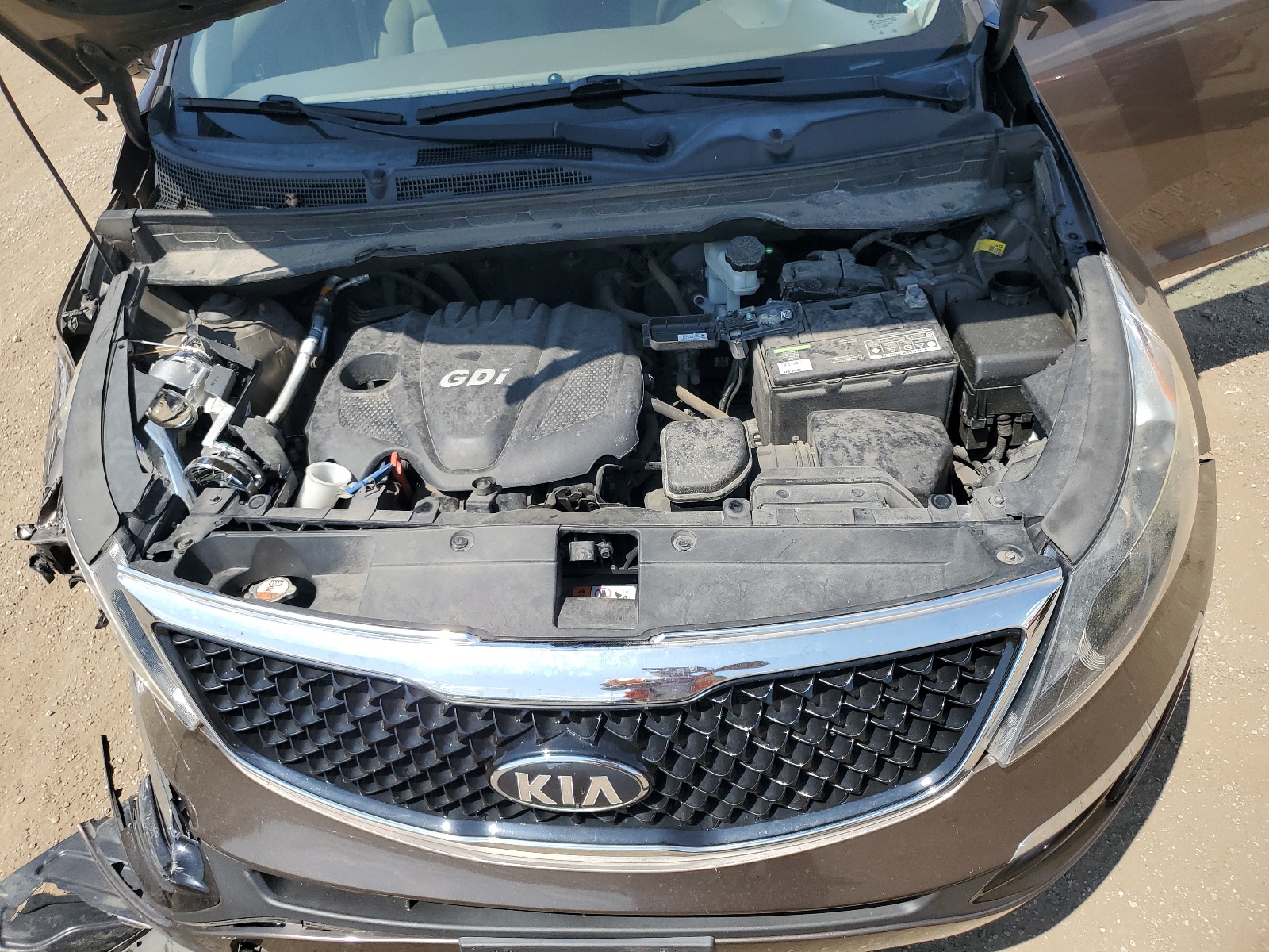 KNDPBCAC2E7599338 2014 Kia Sportage Lx