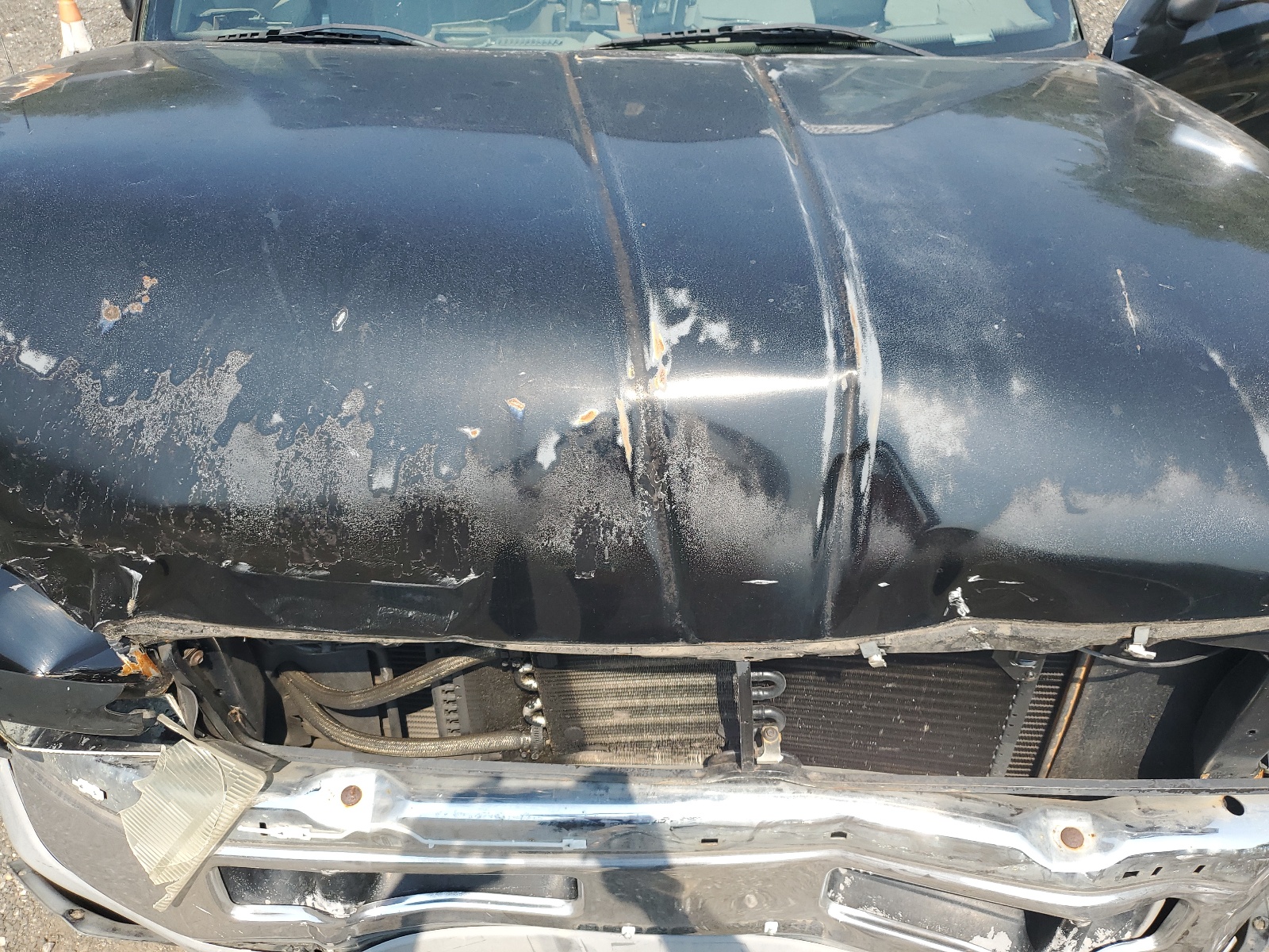 1B7HC16Y5TS501021 1996 Dodge Ram 1500