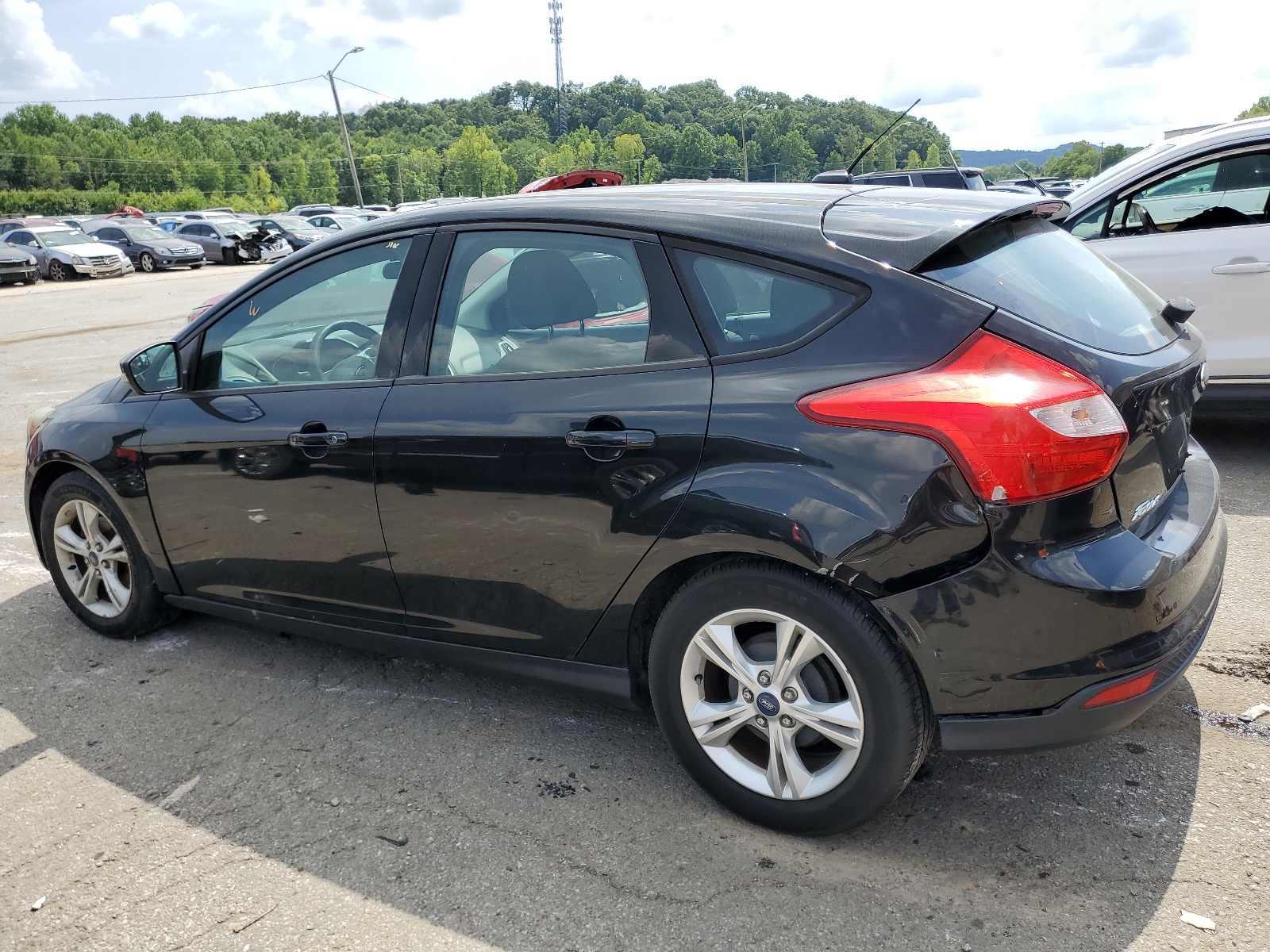 1FADP3K21EL244989 2014 Ford Focus Se