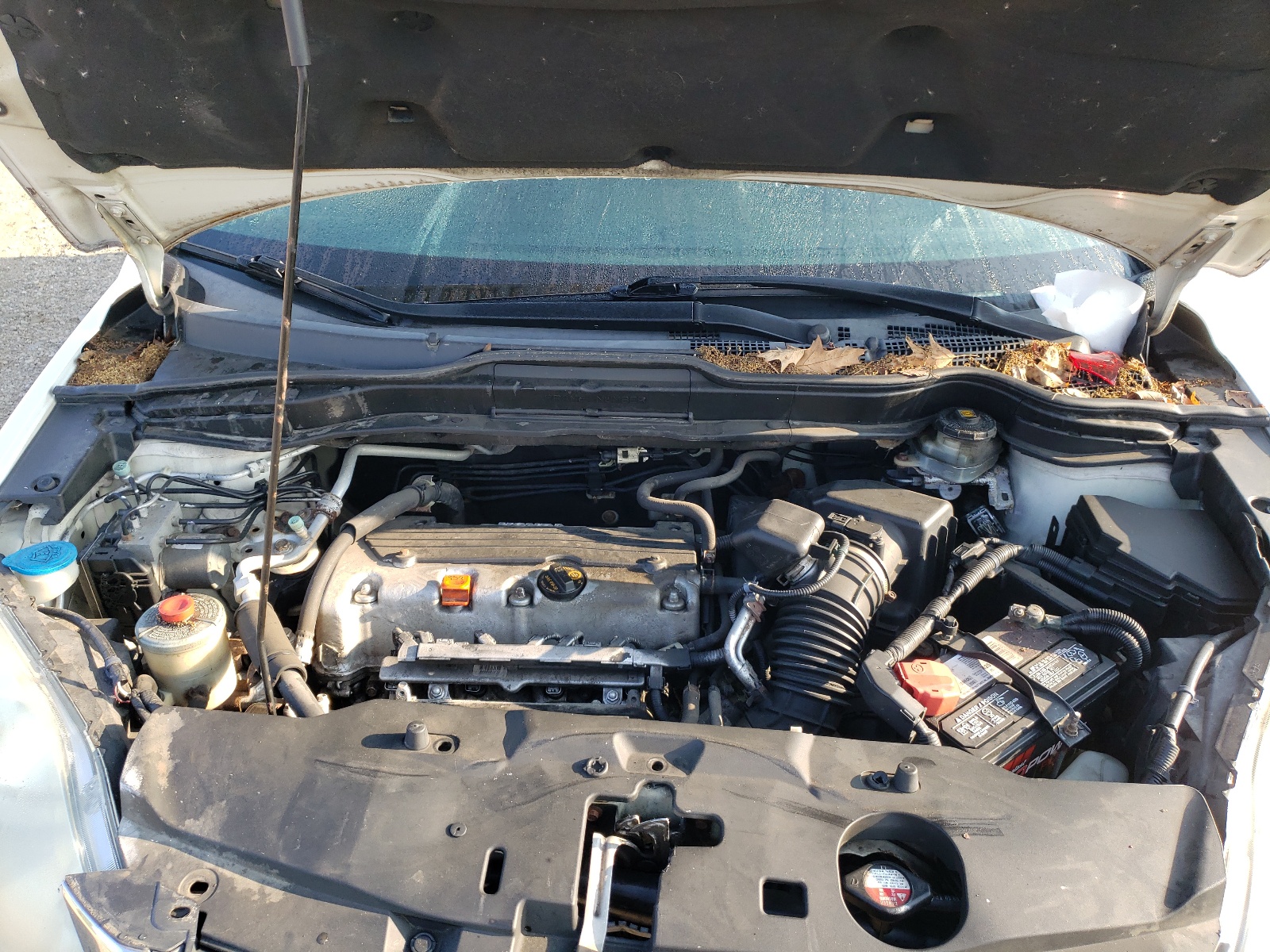 5J6RE4H44BL027544 2011 Honda Cr-V Se