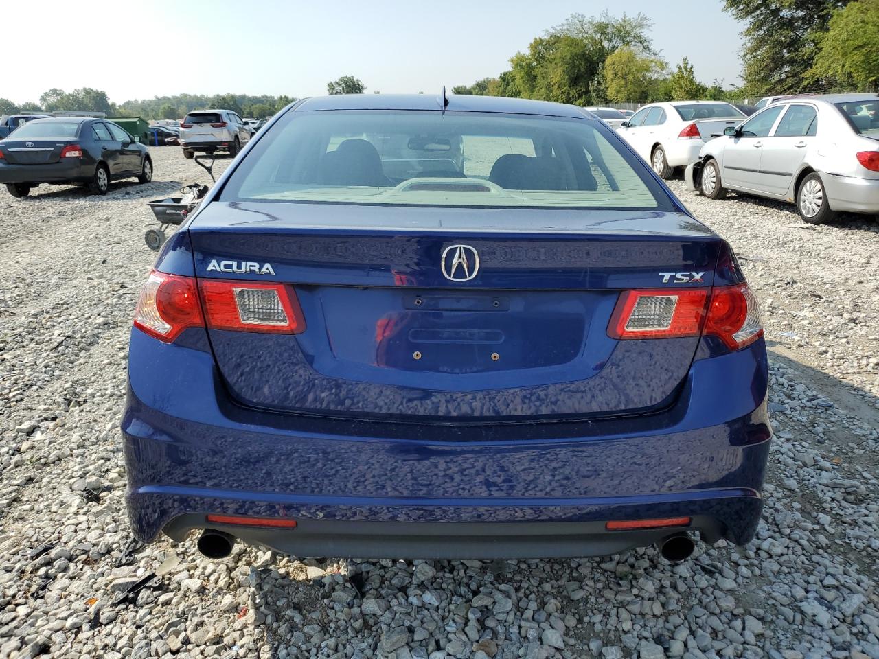 2009 Acura Tsx VIN: JH4CU26649C013613 Lot: 69430614