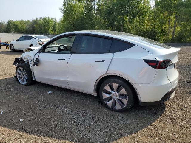  TESLA MODEL Y 2023 Білий