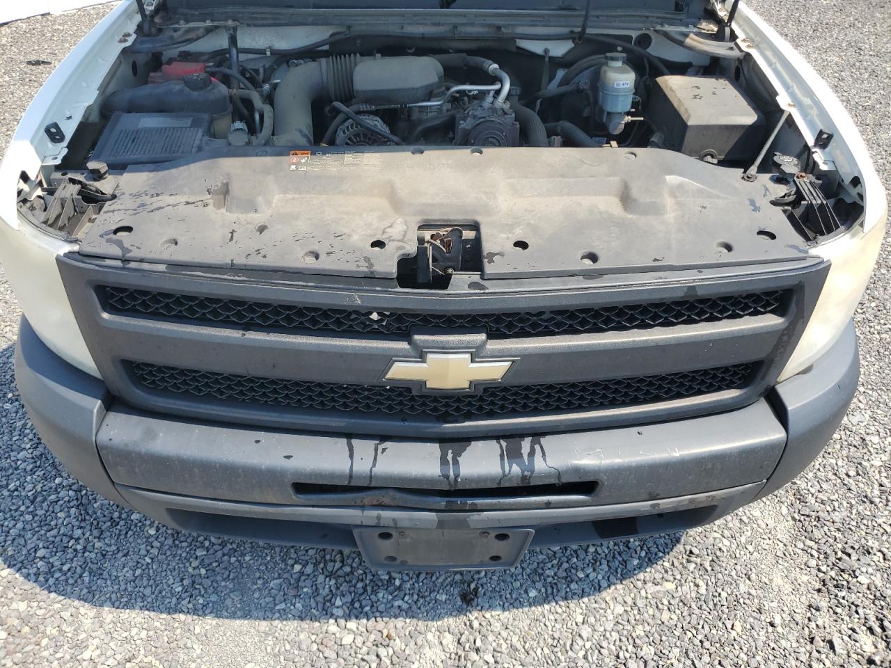 1GCNCPEX1BZ343622 2011 Chevrolet Silverado C1500