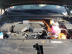 2023 Kia Sorento Ex للبيع في New Britain، CT - Water/Flood
