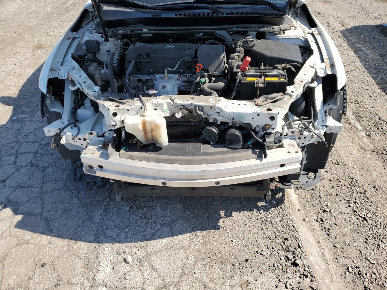 19UUB1F59FA004590 2015 Acura Tlx Tech