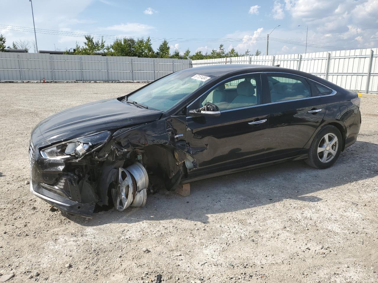 2019 Hyundai Sonata - Image 1