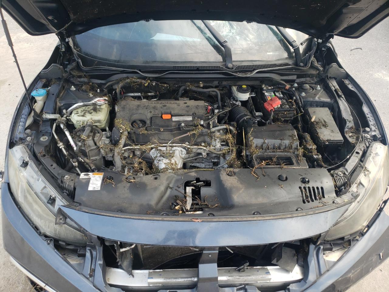 2019 Honda Civic Lx VIN: 19XFC2F69KE029905 Lot: 66417884